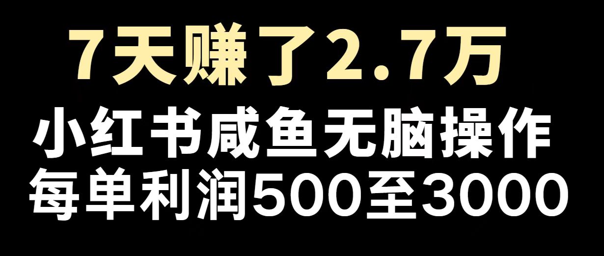 最赚钱项目之一，2025爆火，逆风翻盘！-狗哥口子