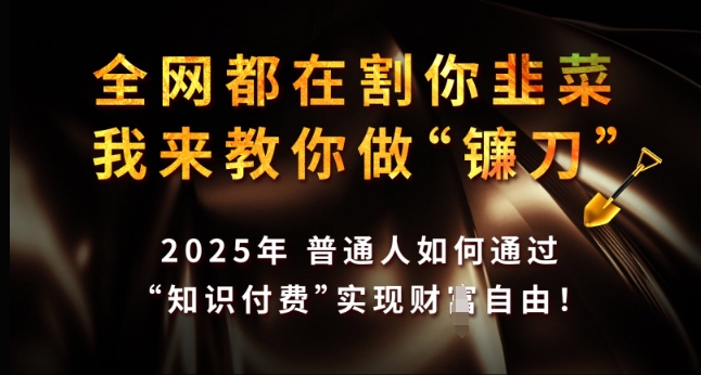 全网都在割你韭菜，我来教你做镰刀，2025年普通人如何通过 知识付费 实现财F自由【揭秘】-狗哥口子