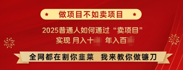 必看，做项目不如卖项目，2025普通人如何通过“卖项目”实现月入十个，年入百个-狗哥口子