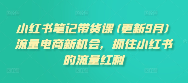 小红书笔记带货课(更新25年1月)流量电商新机会，抓住小红书的流量红利-狗哥口子