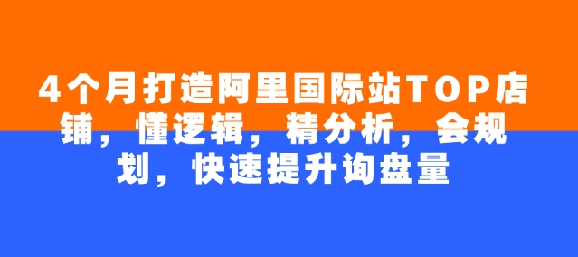 4个月打造阿里国际站TOP店铺，懂逻辑，精分析，会规划，快速提升询盘量-狗哥口子