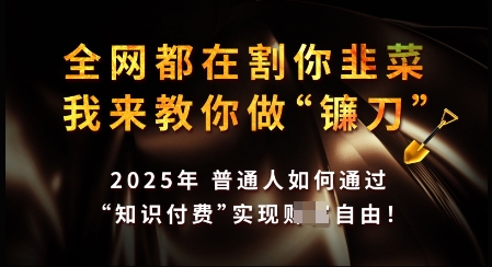 知识付费如何做到月入过W+，2025我来教你做“镰刀”【揭秘】-狗哥口子