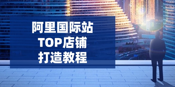 阿里国际站TOP店铺打造教程：涵盖平台到高阶，解决运营难题，提升询盘-狗哥口子