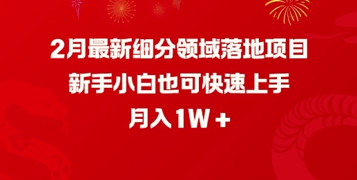 2月最新细分领域落地项目，新手小白也可快速上手，月入1W-狗哥口子