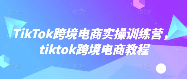 TikTok跨境电商实操训练营，tiktok跨境电商教程-狗哥口子