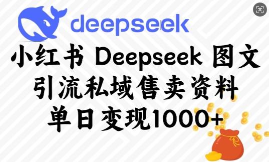 小红书Deepseek图文引流私域售卖资料，单日变现多张-狗哥口子