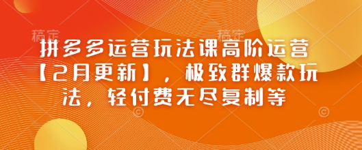 拼多多运营玩法课高阶运营【2月更新】，极致群爆款玩法，轻付费无尽复制等-狗哥口子