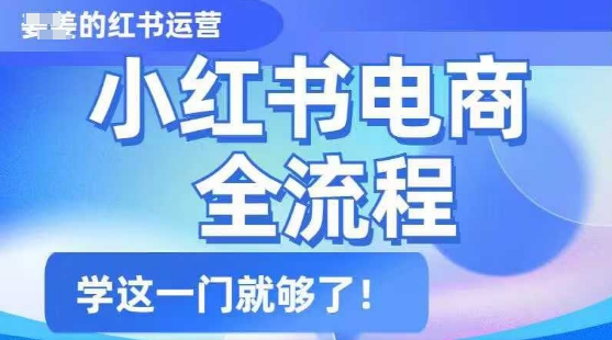 小红书电商全流程，精简易懂，从入门到精通，学这一门就够了-狗哥口子