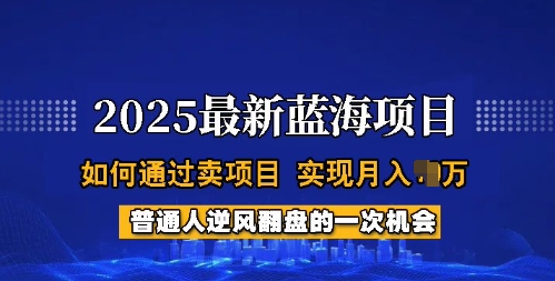 2025蓝海项目，普通人如何通过卖项目，实现月入过W，全过程【揭秘】-狗哥口子