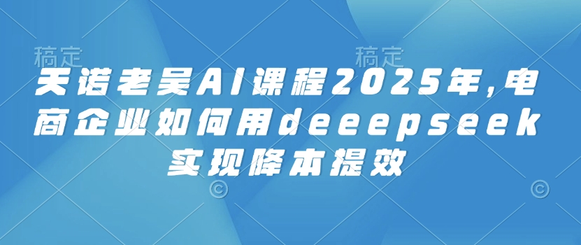 天诺老吴AI课程2025年，电商企业如何用deeepseek实现降本提效-狗哥口子