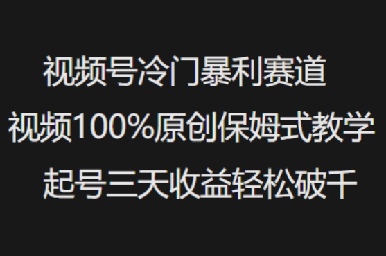 视频号冷门暴利赛道视频100%原创保姆式教学起号三天收益轻松破千-狗哥口子