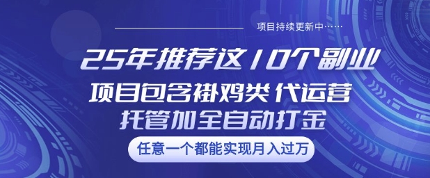 25年推荐这10个副业项目包含褂鸡类、代运营托管类、全自动打金类【揭秘】-狗哥口子