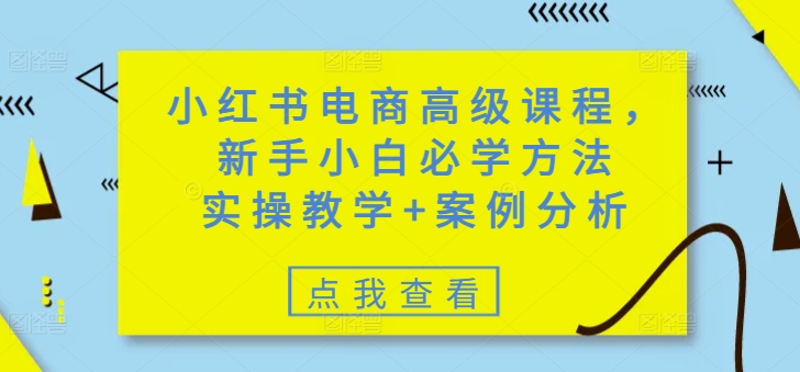 小红书电商高级课程，新手小白必学方法，实操教学+案例分析-狗哥口子