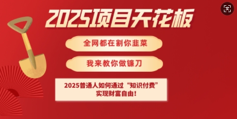 2025项目天花板普通人如何通过知识付费，实现财F自由【揭秘】-狗哥口子